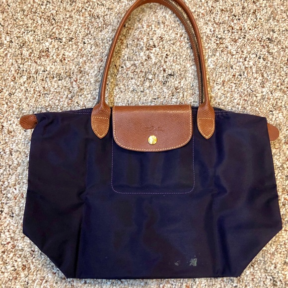 what color is bilberry longchamp
